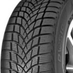 Dayton DW510 – 165/70R13 79T