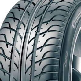 Taurus 401 High Performance – 255/45R18 103Y XL