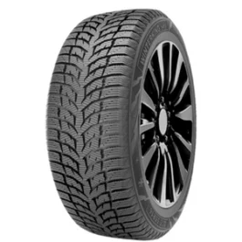 175/65R15 84T WINTERKING DW08 TL Doublestar